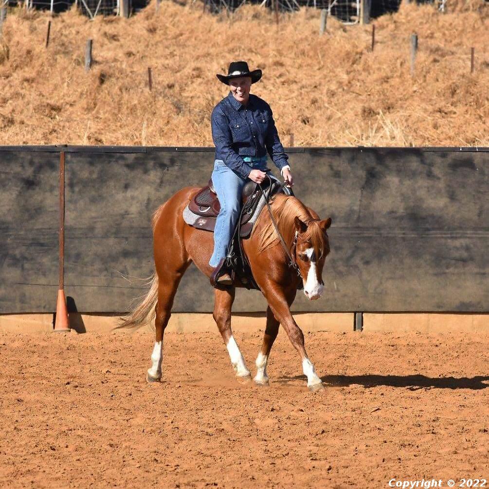 Amarillo Poco Gunfire